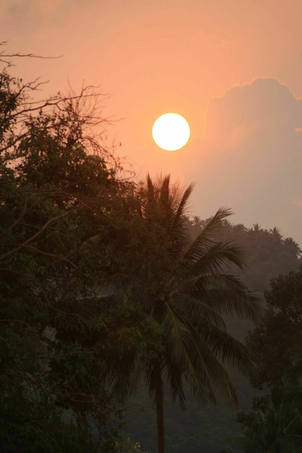Samui Le Reve Ξενοδοχείο Na Mueang Εξωτερικό φωτογραφία